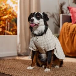 Frisco Tweed Weave Ruffle Skirt Dog & Cat Dress -Optimal Pet Shop 353649 PT6. AC SS1800 V1660750168