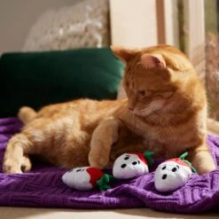 Frisco Halloween Ghost Strawberries Plush Cat Toy With Catnip, 3 Count -Optimal Pet Shop 354127 PT3. AC SS1800 V1657657123