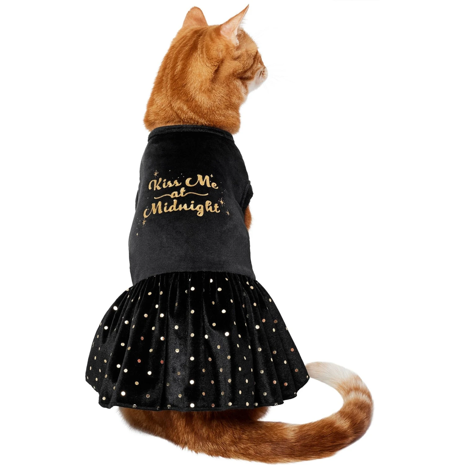 Frisco Kiss Me At Midnight Dog & Cat Dress 3 Frisco Kiss Me At Midnight Dog & Cat Dress