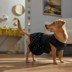 Frisco Kiss Me At Midnight Dog & Cat Dress 14 Frisco Kiss Me At Midnight Dog & Cat Dress -Optimal Pet Shop 358044 PT7. AC SS1800 V1661799831