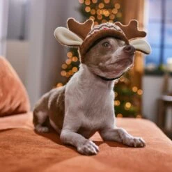 Frisco Antler Fair Isle Dog & Cat Hat -Optimal Pet Shop 358313 PT4. AC SS1800 V1661798696