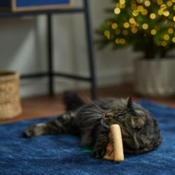 Frisco Holiday Santa's List Plush & Feather Cat Toy With Catnip 8 Frisco Holiday Santa's List Plush & Feather Cat Toy With Catnip -Optimal Pet Shop 360895 PT3. AC SS1800 V1661874361