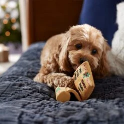 Frisco Holiday Santa's List Plush & TPR Inside Dog Toy 9 Frisco Holiday Santa's List Plush & TPR Inside Dog Toy -Optimal Pet Shop 360970 PT3. AC SS1800 V1661874421