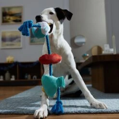 Frisco Hanukkah Celebration Plush With Rope Squeaky Dog Toy -Optimal Pet Shop 360986 PT3. AC SS1800 V1661874063