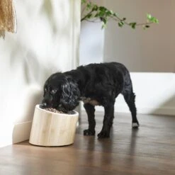 Frisco Elevated Slanted Bamboo Melamine Non-Skid Dog Bowl With Bamboo Stand -Optimal Pet Shop 363387 PT2. AC SS1800 V1657657267