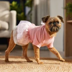 Frisco Tulle Hearts Dog & Cat Dress -Optimal Pet Shop 371070 PT8. AC SS1800 V1700690505
