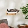 Frisco Cushioned Wall Mounted Cat Wall Shelf 1 Frisco Cushioned Wall Mounted Cat Wall Shelf -Optimal Pet Shop 373443 MAIN. AC SS1800 V1673025637