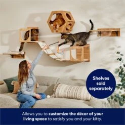 Frisco Hexagon Wall Mounted Cat Wall Shelf -Optimal Pet Shop 373445 PT3. AC SS1800 V1675692702