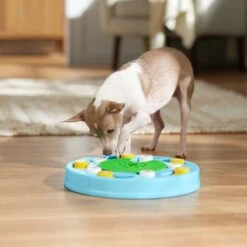 Frisco Seek & Discover Interactive Puzzle Dog Toy, Moderate 14 Frisco Seek & Discover Interactive Puzzle Dog Toy, Moderate -Optimal Pet Shop 506250 PT5. AC SS1800 V1674664929