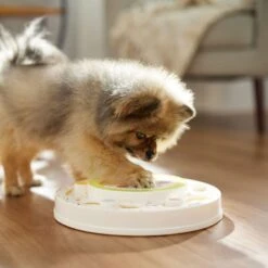 Frisco Tiered Cake Interactive Puzzle Dog Toy, Easy 14 Frisco Tiered Cake Interactive Puzzle Dog Toy, Easy -Optimal Pet Shop 506346 PT5. AC SS1800 V1674666566