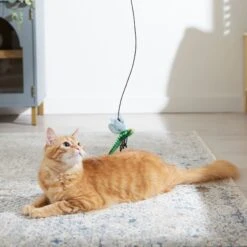 Frisco Leaf & Dragonfly Interchangeable Teaser Wand Cat Toy With Catnip -Optimal Pet Shop 525982 PT3. AC SS1800 V1669148131