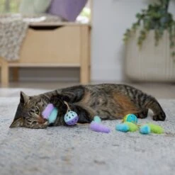 Frisco Fabric & Play Plastic Balls Cat Toy 8 Frisco Fabric & Play Plastic Balls Cat Toy -Optimal Pet Shop 526030 PT3. AC SS1800 V1669148132