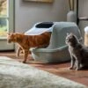 Frisco Mega Deluxe Litter Box -Optimal Pet Shop 526526 MAIN. AC SS1800 V1659623787