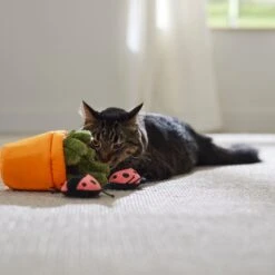 Frisco Spring Potted Plant And Ladybugs Interactive Plush Cat Toy With Catnip 10 Frisco Spring Potted Plant And Ladybugs Interactive Plush Cat Toy With Catnip -Optimal Pet Shop 541542 PT3. AC SS1800 V1671814448