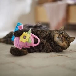 Frisco Spring Watering Can Plush Cat Toy With Catnip -Optimal Pet Shop 541558 PT3. AC SS1800 V1671814448