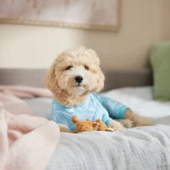 Frisco Blue Ocean Waves Dog & Cat Jersey PJs -Optimal Pet Shop 556142 PT5. AC SS1800 V1674828705