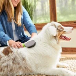 TropiClean Luxury 2 In 1 Papaya & Coconut Pet Shampoo & Conditioner & Frisco Cat & Dog Bristle Brush -Optimal Pet Shop 575094 PT7. AC SS1800 V1657660395