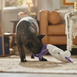 Frisco Halloween Bunny Ghost Plush Squeaky Dog Toy 10 Frisco Halloween Bunny Ghost Plush Squeaky Dog Toy -Optimal Pet Shop 667878 PT3. AC SS1800 V1689340856