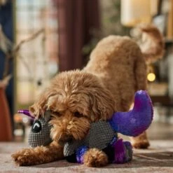 Frisco Halloween Midnight Unicorn Plush Squeaky Dog Toy 10 Frisco Halloween Midnight Unicorn Plush Squeaky Dog Toy -Optimal Pet Shop 667958 PT3. AC SS1800 V1689350103