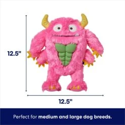 Frisco Halloween Zany Monster Muscle Plush Squeaky Dog Toy -Optimal Pet Shop 668166 PT1. AC SS1800 V1689343884