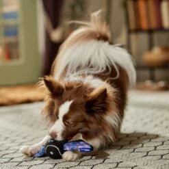 Frisco Halloween Bat Fetch Squeaky Tennis Ball Dog Toy -Optimal Pet Shop 668278 PT3. AC SS1800 V1689350166