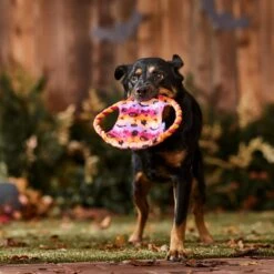 Frisco Halloween Ghost Swirl Fetch Flyer Dog Toy -Optimal Pet Shop 668294 PT3. AC SS1800 V1689278363