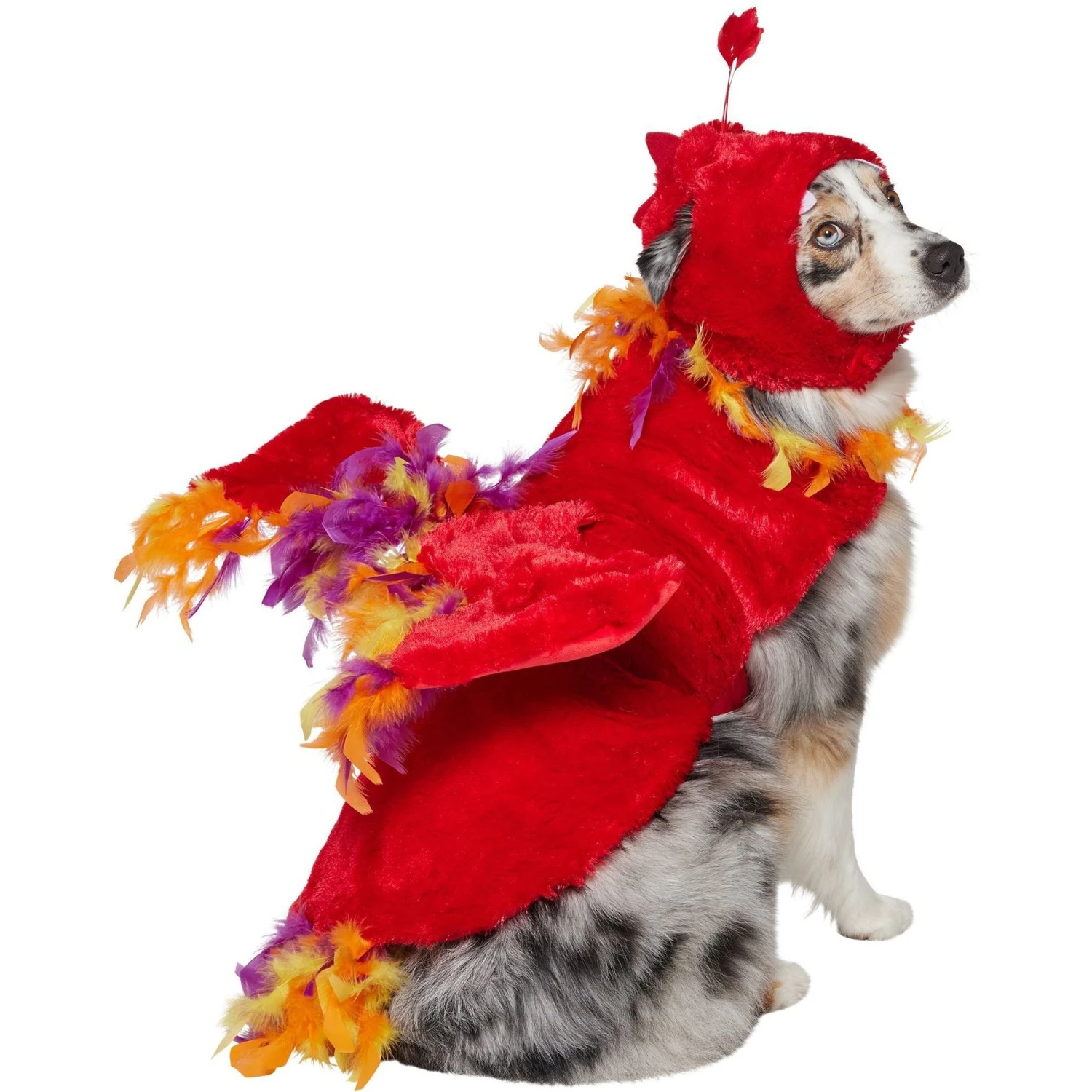 Frisco Flying Phoenix Dog & Cat Costume 2 Frisco Flying Phoenix Dog & Cat Costume