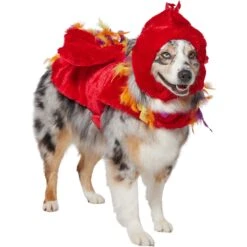 Frisco Flying Phoenix Dog & Cat Costume 11 Frisco Flying Phoenix Dog & Cat Costume -Optimal Pet Shop 708150 PT3. AC SS1800 V1691084928