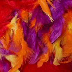 Frisco Flying Phoenix Dog & Cat Costume 14 Frisco Flying Phoenix Dog & Cat Costume -Optimal Pet Shop 708150 PT6. AC SS1800 V1689351754