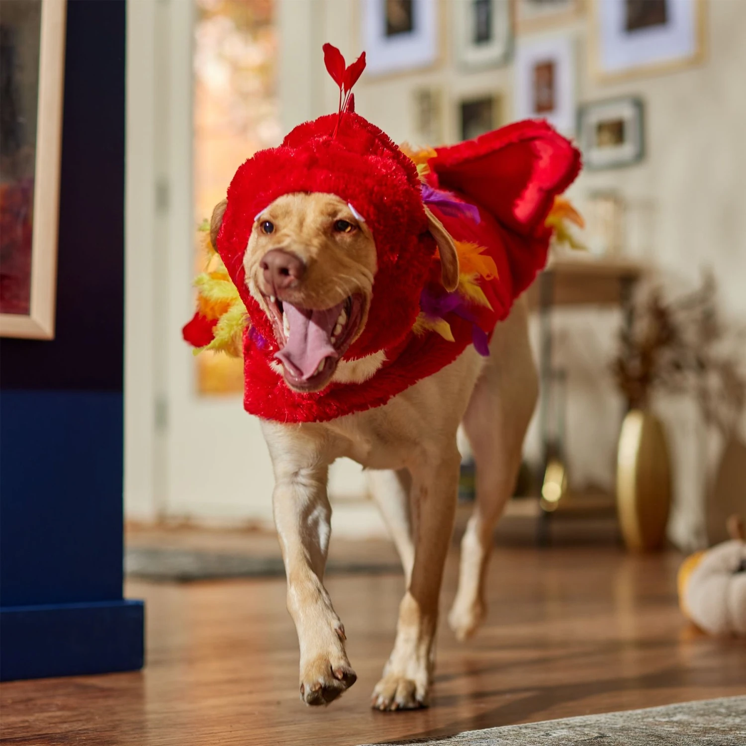 Frisco Flying Phoenix Dog & Cat Costume 8 Frisco Flying Phoenix Dog & Cat Costume - Image 7