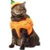 Frisco Pumpkin Ball Dog & Cat Costume -Optimal Pet Shop 708902 MAIN. AC SS1800 V1689351821