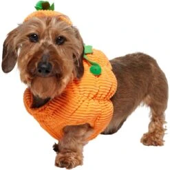 Frisco Pumpkin Ball Dog & Cat Costume -Optimal Pet Shop 708902 PT2. AC SS1800 V1689351041