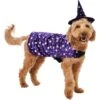 Frisco Cosmic Witch Dog & Cat Costume 2 Frisco Cosmic Witch Dog & Cat Costume -Optimal Pet Shop 708982 MAIN. AC SS1800 V1689282565