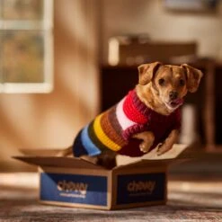 Frisco Chunky Knit Multi-Stripe Dog & Cat Sweater -Optimal Pet Shop 718662 PT7. AC SS1800 V1692378219