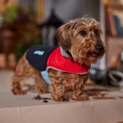 Frisco Medium Weight Retro Colorblock Mixed Media Dog & Cat Coat -Optimal Pet Shop 719462 PT7. AC SS1800 V1692379031