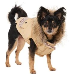 Frisco Heavy Weight Matte Quilted Dog & Cat Parka With Cozy Fleece Lining -Optimal Pet Shop 719654 PT2. AC SS1800 V1703184629