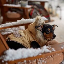 Frisco Heavy Weight Matte Quilted Dog & Cat Parka With Cozy Fleece Lining -Optimal Pet Shop 719654 PT7. AC SS1800 V1692376037