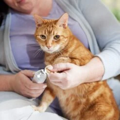 Rechargeable Cordless Cat & Dog 3-Speed Nail Grinder, White -Optimal Pet Shop 729774 PT5. AC SS1800 V1683147135