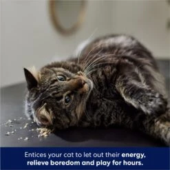 Frisco Natural Catnip & Hartz Cattraction Silver Vine & Catnip Gator Cat Scratcher Toy, Color Varies -Optimal Pet Shop 737470 PT4. AC SS1800 V1683212147