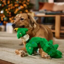 Frisco Holiday Elf In A Tree Bungee Plush Squeaky Dog Toy -Optimal Pet Shop 739846 PT3. AC SS1800 V1695047600