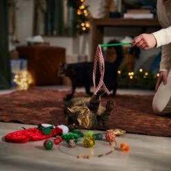 Frisco Holiday Cozy Christmas Sack Variety Pack Cat Toy With Catnip -Optimal Pet Shop 740054 PT3. AC SS1800 V1694812461