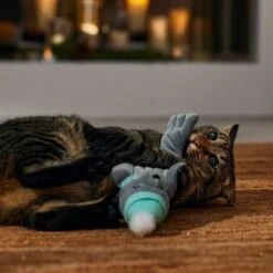 Frisco Holiday Interactive Flopping Seal Electronic Cat Toy With Catnip -Optimal Pet Shop 740102 PT4. AC SS1800 V1695043876