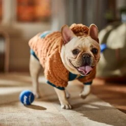 Frisco Wubby Textured Fleece Dog & Cat Hoodie W/ Pocket -Optimal Pet Shop 742510 PT7. AC SS1800 V1692377765