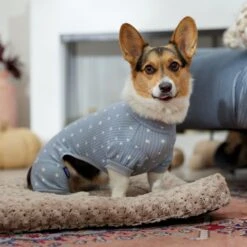 Frisco Cozy Waffle Knit Dog & Cat PJs, Starry Night -Optimal Pet Shop 743134 PT7. AC SS1800 V1692376038