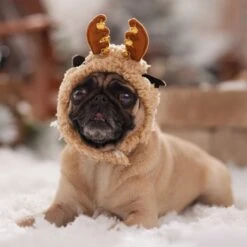 Frisco Sherpa Reindeer Dog & Cat Hat With Bells -Optimal Pet Shop 745646 PT5. AC SS1800 V1694795597