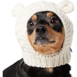 Frisco Polar Bear Sweater Knit Dog & Cat Hat -Optimal Pet Shop 745742 PT2. AC SS1800 V1694793756