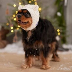 Frisco Polar Bear Sweater Knit Dog & Cat Hat -Optimal Pet Shop 745742 PT5. AC SS1800 V1694801900