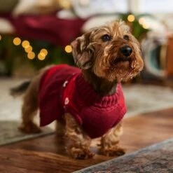 Frisco Nordic Sequin Dog & Cat Sweater Dress -Optimal Pet Shop 745886 PT7. AC SS1800 V1694793874