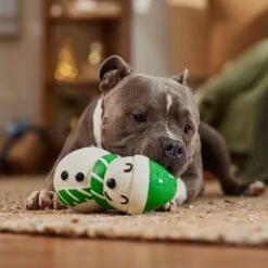 Frisco Holiday Snowman Latex Squeaky Dog Toy -Optimal Pet Shop 773870 PT3. AC SS1800 V1695044328