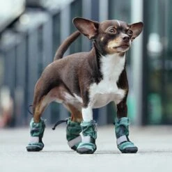 Canada Pooch Soft Shield Dog Boots -Optimal Pet Shop 803006 PT4. AC SS1800 V1682088022